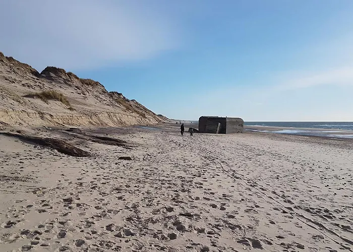 For 22 Guests Ulfborg